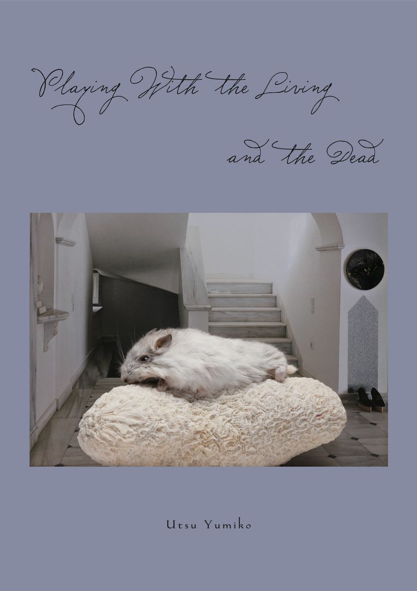 写真家 うつゆみこの個展「The Neverending Zine Days」がflotsam booksにて開催。アルバム、写真集、2019年から作り始めたZINE約50種、ダミーブックなどをまとめて展示