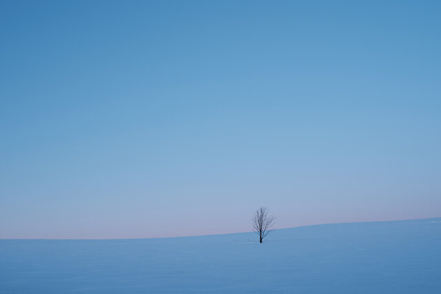 静かな色の旅 岩倉しおり（北海道）｜連載「写真家が選んだ、最高の旅先」第6回