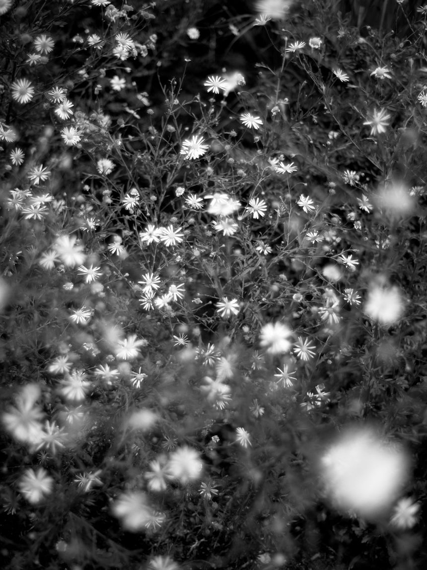 写真家 山根悠太郎の個展「44」が東京 恵比寿で開催。日常のなかでほとんど見過ごされてしまうような時間に対して、継続的に意識を向ける