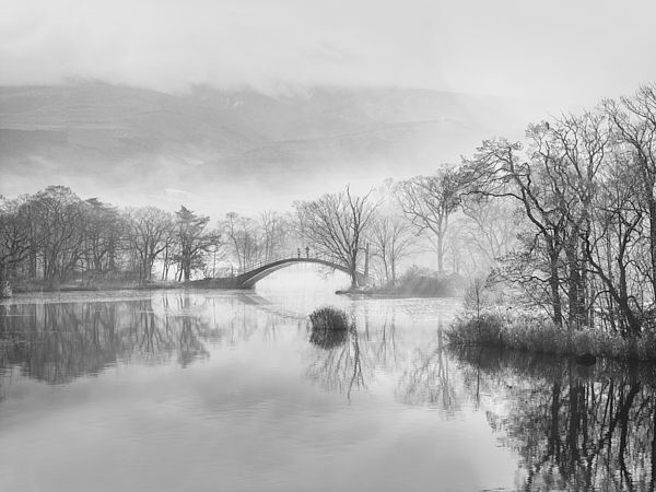 台湾の写真家 陳尚平の日本初個展「静寂の輪郭 －Void and Breath－」が東京 青山で開催。音と沈黙、形と余白のあいだに漂う繊細な境界へのまなざし