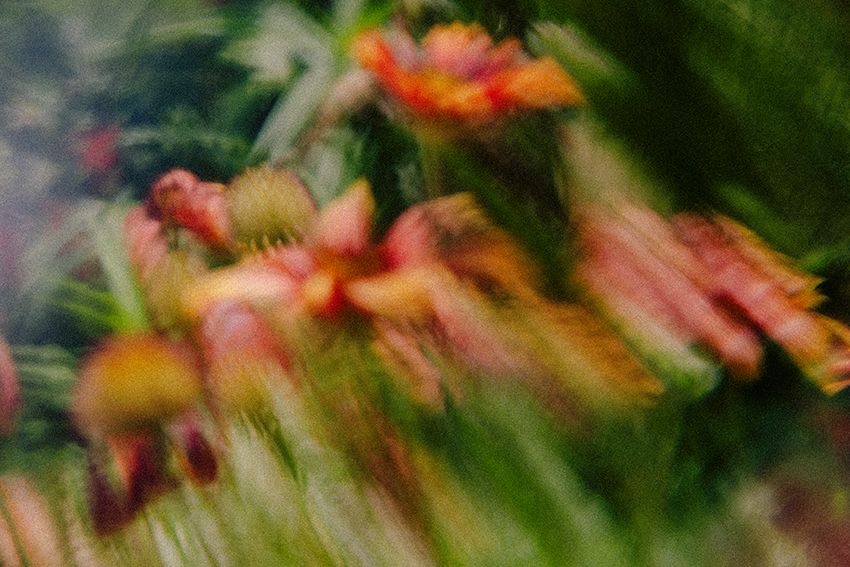 『いつでもいま - ガラスに映す光』柿本ケンサク写真展が東京 代官山で開催。三嶋りつ惠の透明なガラスを通して、写真を“光の記憶”として更新