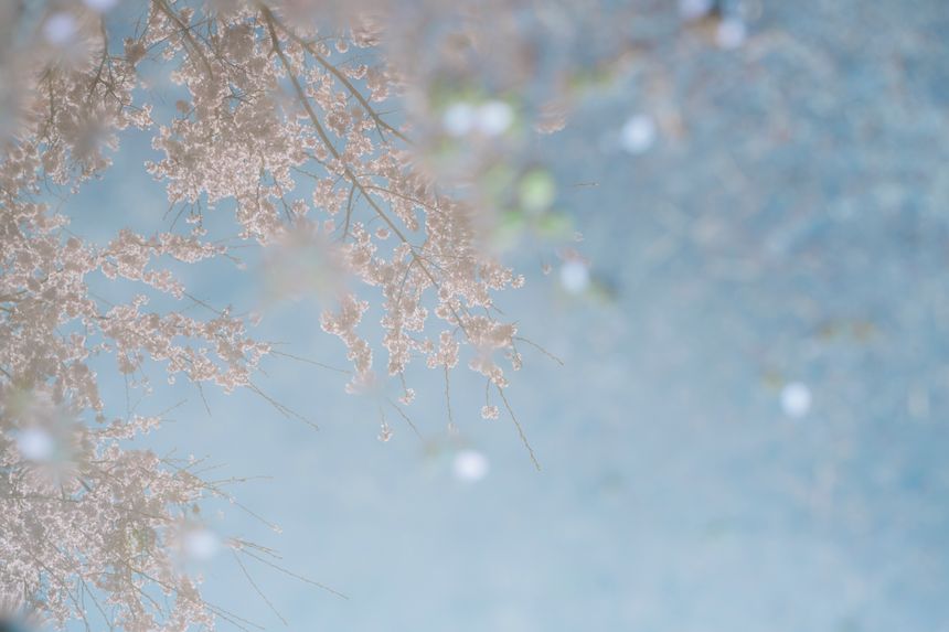 フォトグラファー 鎌田風花の初個展「光の棲む場所」が大阪 難波で開催。日常の片隅に息づく光の瞬間を写す