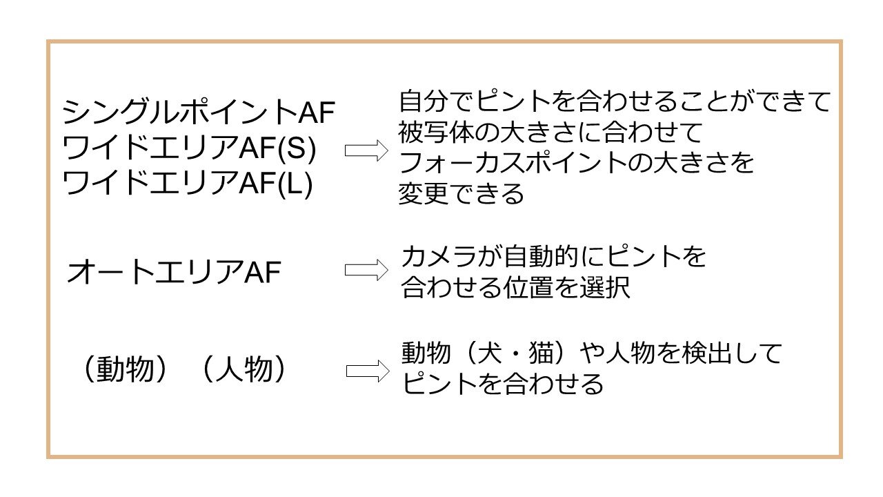 レンズを換えると今までと違う写真が撮れる カメラとレンズの組み合わせで楽しむ表現の世界 Genic編集部 Genic ジェニック