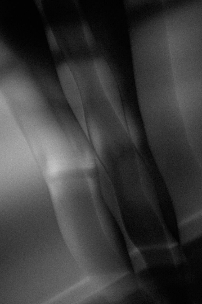 古屋呂敏(ロビン)がNikon Zfで撮影した写真 作例