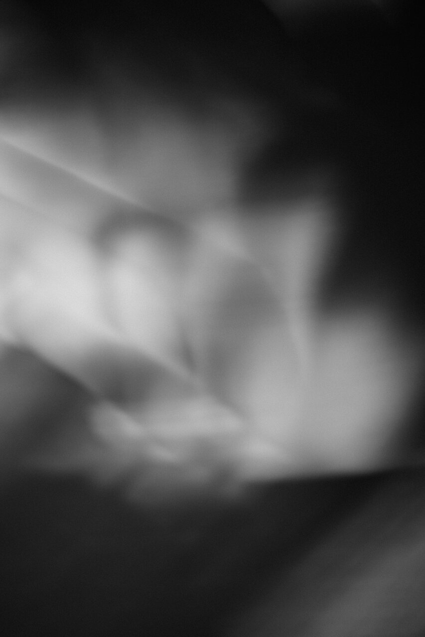 古屋呂敏(ロビン)がNikon Zfで撮影した写真 作例