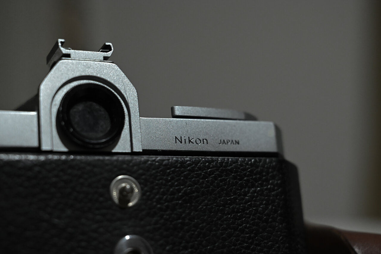 古屋呂敏（ロビン）がNikon Zfで撮影した写真 作例