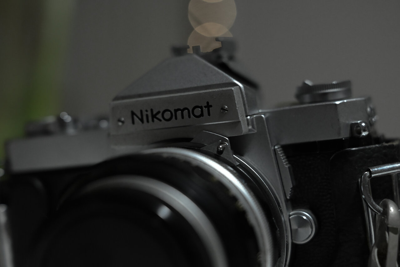 古屋呂敏（ロビン）がNikon Zfで撮影した写真 作例
