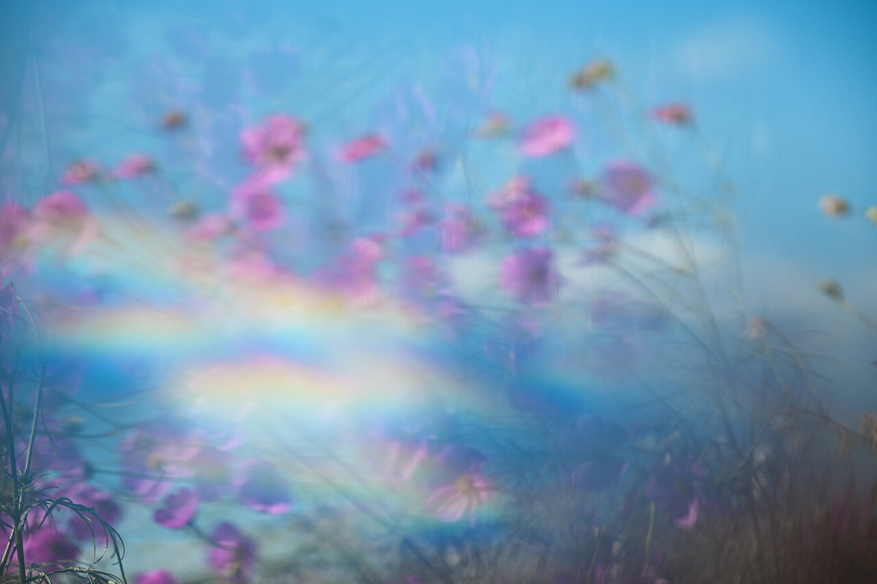 古屋呂敏（ロビン）がNikon Zfで撮影した写真 作例