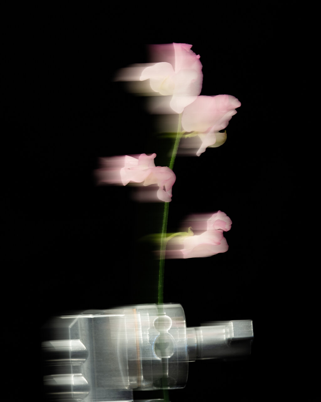 古屋呂敏（ロビン）がNikon Zfで撮影した写真 作例