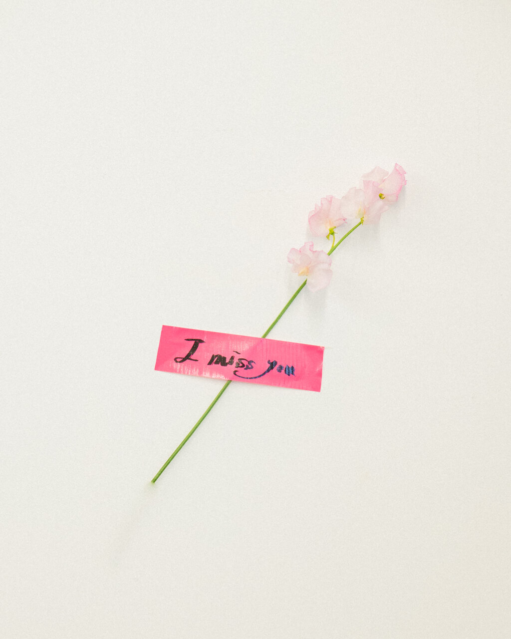 古屋呂敏（ロビン）がNikon Zfで撮影した写真 作例