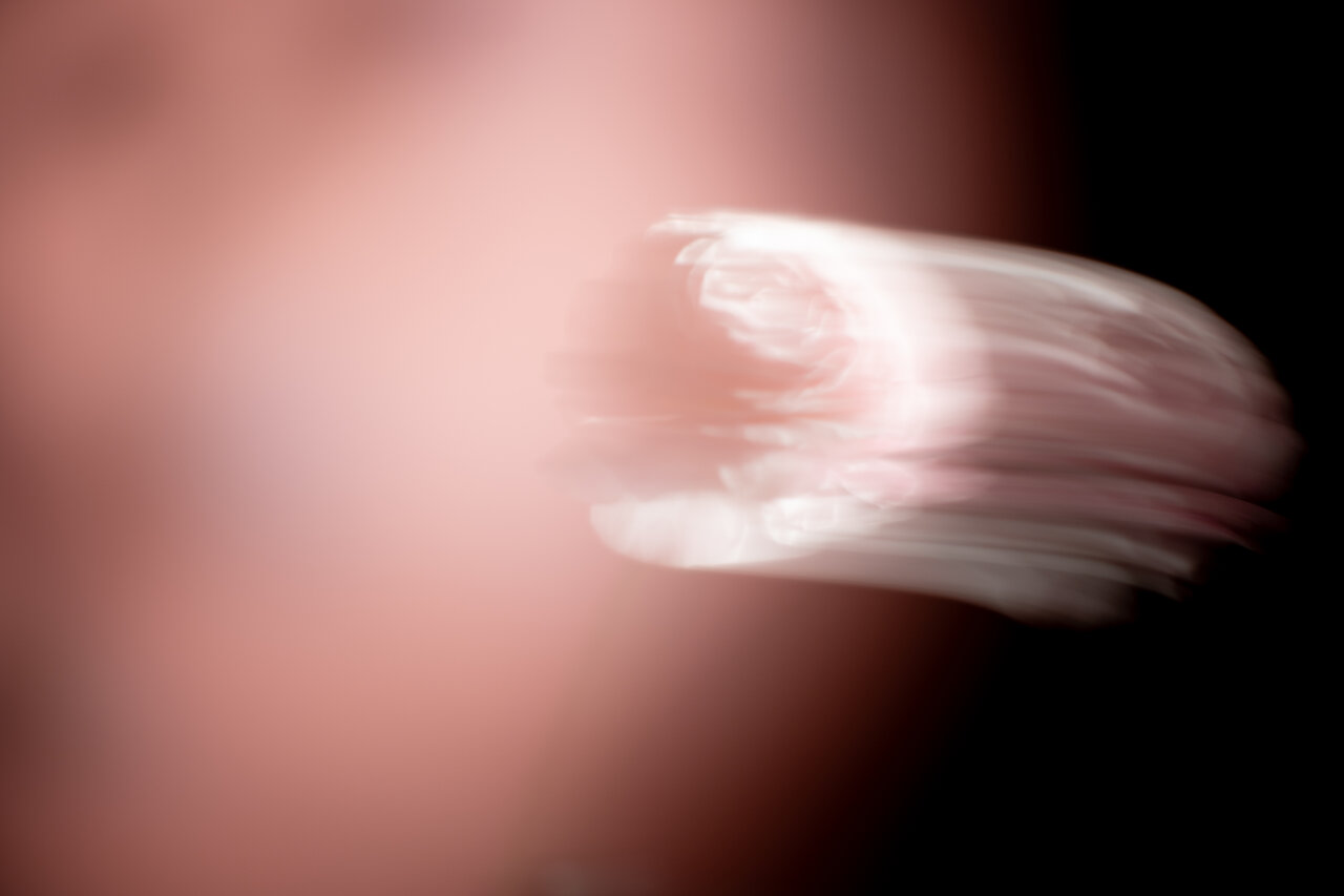 古屋呂敏（ロビン）がNikon Zfで撮影した写真 作例