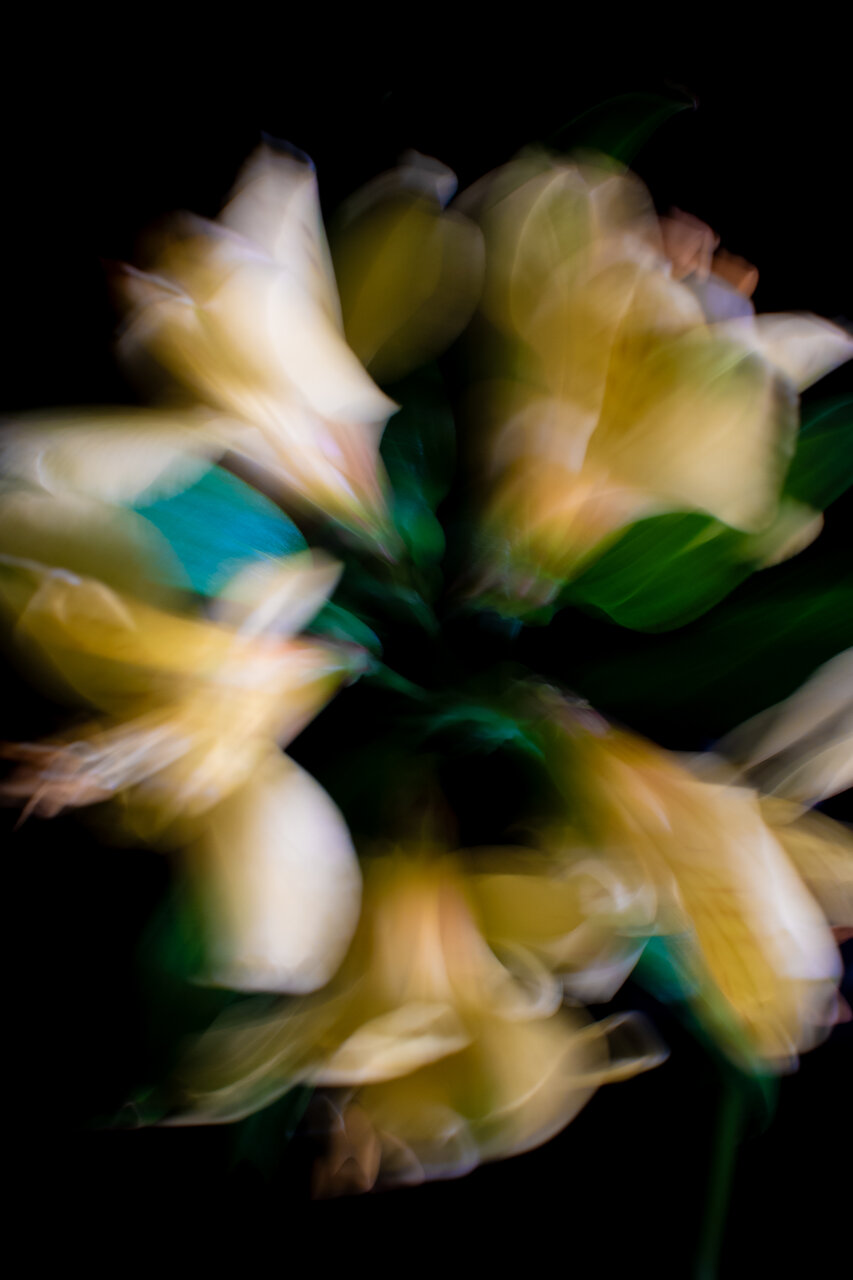 古屋呂敏（ロビン）がNikon Zfで撮影した写真 作例