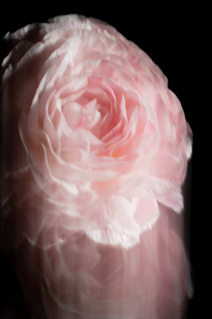 古屋呂敏（ロビン）がNikon Zfで撮影した写真 作例