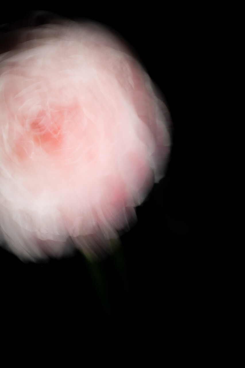 古屋呂敏（ロビン）がNikon Zfで撮影した写真 作例