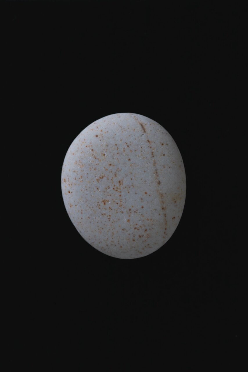 星くずたち(Star Fragments)