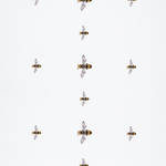 特集|My favourite jewellery Motif & Design