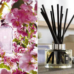 JO MALONE LONDON|春の新作フレグランス「プラム ブロッサム」
