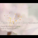 kizunaworld.org|ジュゼッペ・ラ・スパーダの映像と坂本龍一の音楽によるコラボ作品「Hana no Ame - impermanence」