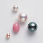 MIKIMOTO|真珠発明120周年を記念して、“真珠の学校”を開催