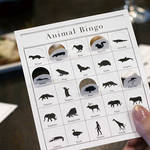 CEMENT PRODUCE DESIGN|今度のビンゴゲームには数字を動物に置き換えた「Animal Bingo」