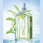 L'OCCITANE|極めて新鮮。ピュアシトラスの「新ヴァーベナ」完成!