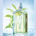 L'OCCITANE｜極めて新鮮。ピュアシトラスの「新ヴァーベナ」完成！