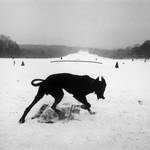ART|東京国立近代美術館で『ジョセフ・クーデルカ展』
