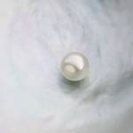 MIKIMOTO|「真珠の不思議~科学の視点で見てみよう~」開催