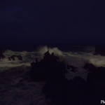 ART|ギャラリー916で上田義彦写真展『M.Sea』『M.Venus』