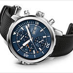 IWC|海洋保護活動のパイオニアに捧ぐ一本