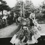 800点もの作品を展示する荒木経惟『淫夏』|art space AM