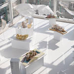 エスパス ルイ・ヴィトン東京がひとつのインスタレーション空間に|ESPACE LOUIS VUITTON TOKYO