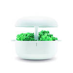 フィンランド生まれのスタイリッシュな水耕栽培器|Plantui Smart Garden