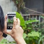 日常に”Leica”を持ち歩く。<HUAWEI P10 Plus>の実力を堪能する。|HUAWEI