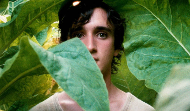 連載｜牧口じゅんのシネマフル・ライフ 第28回『幸福なラザロ』　ギャラリー