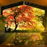 GOTOトラベルで満喫! 星野リゾート 界ブランドのニッポン全国紅葉温泉|TRAVEL