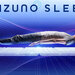 ミズノが睡眠市場に本格参入。スポーツのプロが展開するマットレスと敷パッド｜MIZUNO