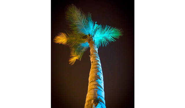 dubai_665_50