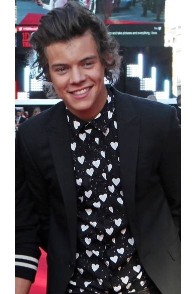 94 <strong>Harry Styles|ハリー・スタイルズ</strong><br /><br />
ロンドンで開催された映画『ワン・ダイレクション THIS IS US』のプレミアに、 1Dメンバーのハリー・スタイルズが登場。黒いジャケットにバーバリーのプリントシャツを合わせ、キュートなコーディネイトを完成。シャツのハート柄がハリーのスウィートな笑顔にマッチ!