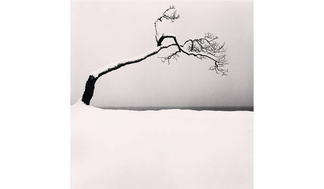 代表作から初公開作品を展示。「マイケル・ケンナ写真展 A 45
