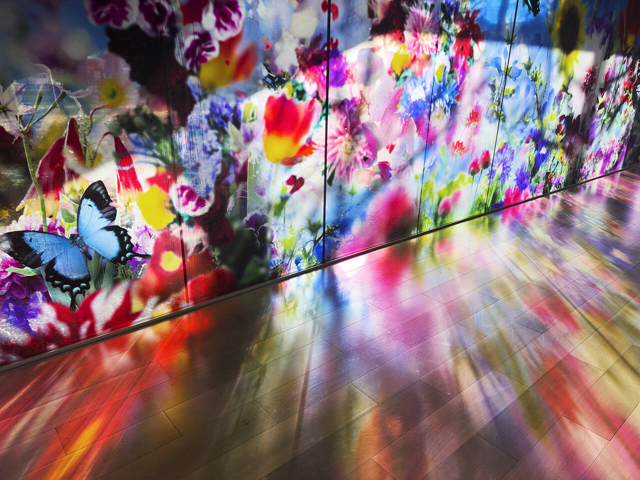 2025年注目のアート展 その1。新しい視座で魅せる個性派