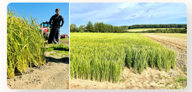 LOUNGE FEATURES｜Asahi Biocycle
