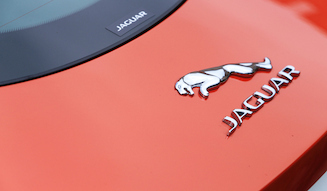 Jaguar F-Type Coupe│ジャガー Fタイプ クーペ 32