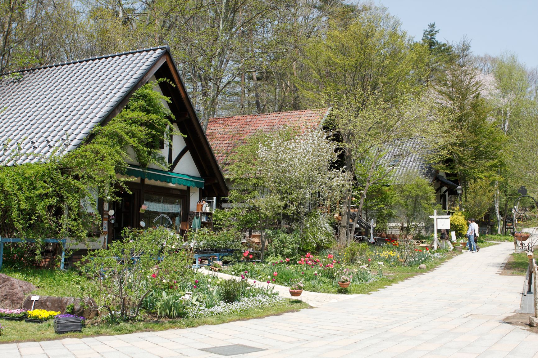 【特集】アンノン族の聖地で半世紀続くスポット「萌木の村」(2019年5月号)