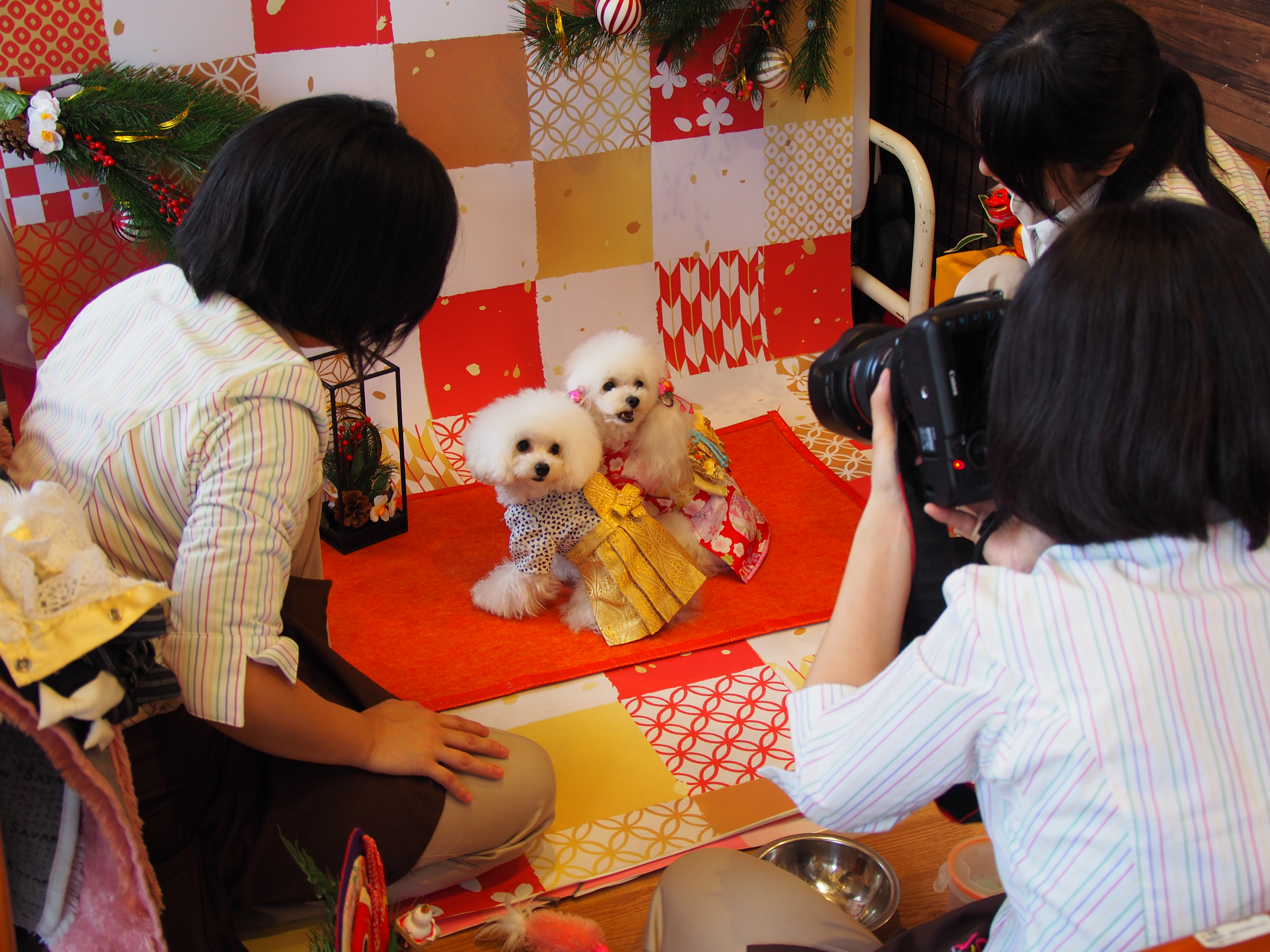 【特集】全国250以上の店舗で出張開催! 普段の買い物場所でペットの記念撮影ができる「スタジオわんわんアリス」(2018年12月号)