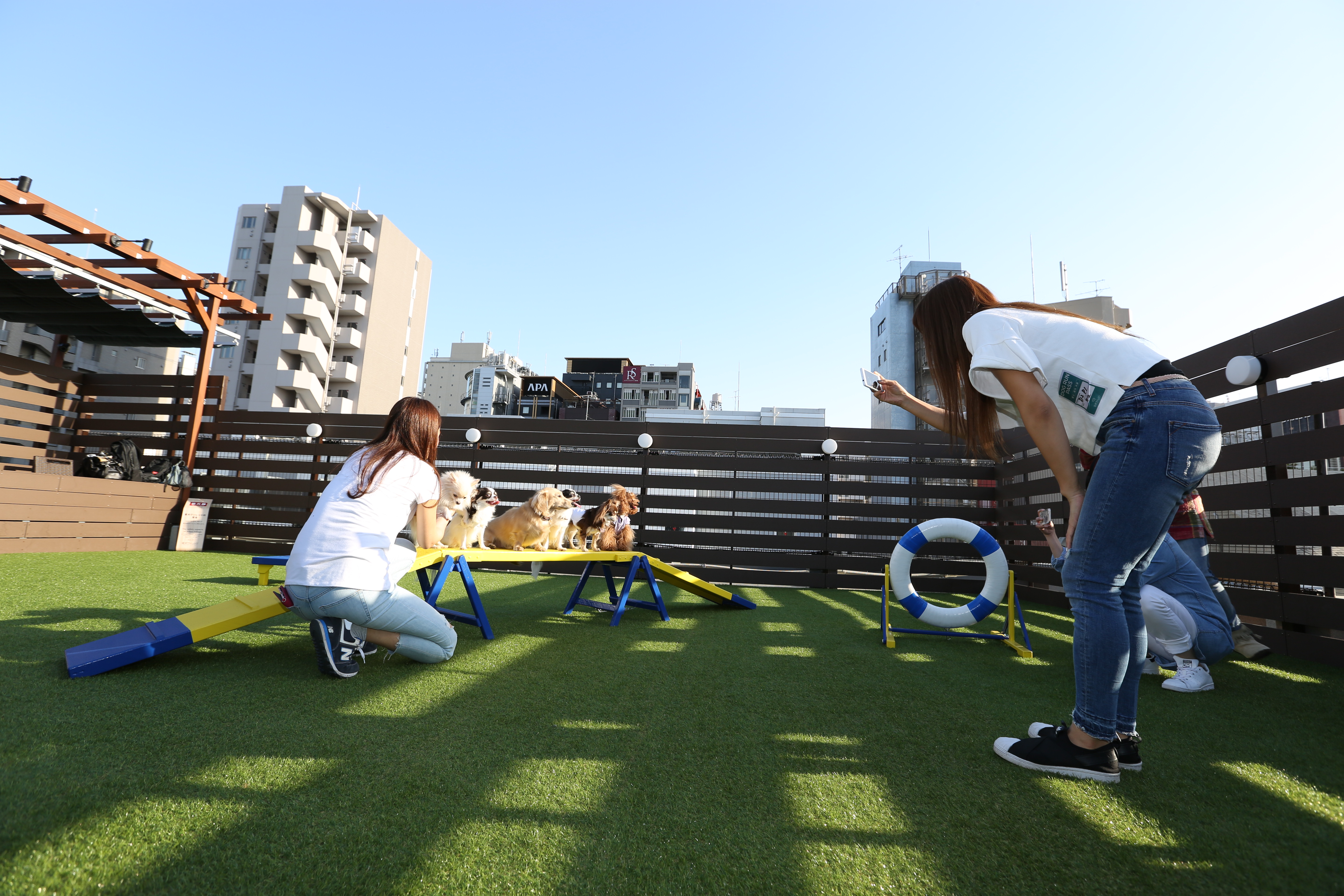 【特集】大都会のど真ん中にドッグラン!? 食&遊び&物販&イベントで愛犬と一日過ごせる 「愛犬ヴィレッジ」(2018年12月号)
