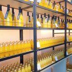 【STAFF ROOM】愛媛・松山のかんきつ専門店産業継承に貢献(2019年7月号)