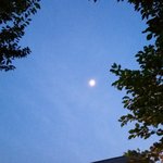 家族だからこそ、感謝しなくていい、離れていい。