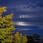 いつもさみしい、愛してほしい君へ2