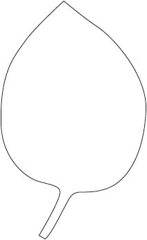 (30333)